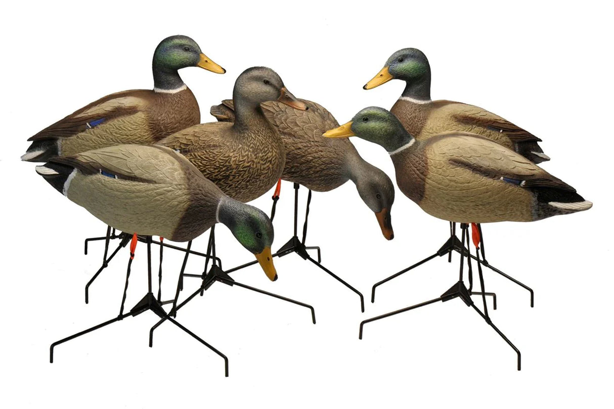 Bigfoot- B2 Standard Mallard Motion Field Decoys, 6 Pack