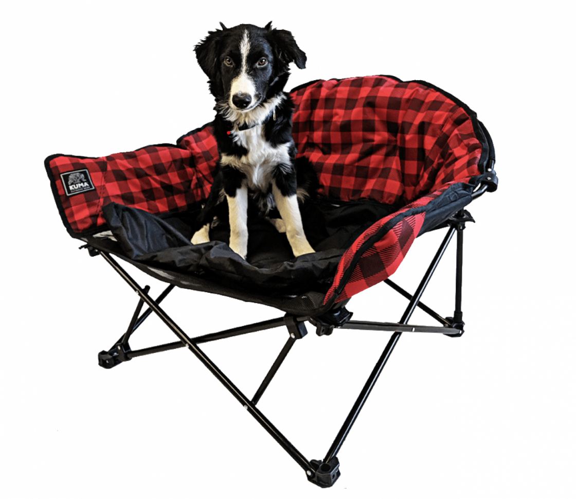 KUMA- Lazy Bear Dog Chair