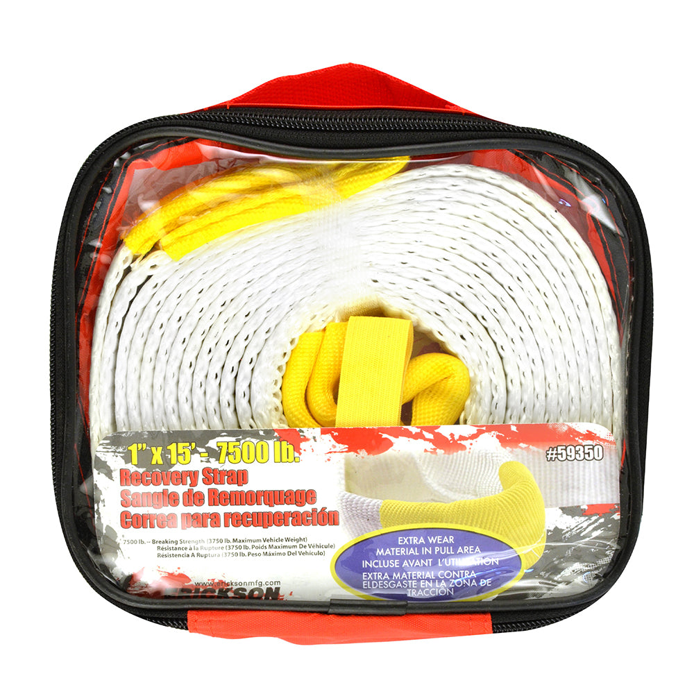 Erickson- Recovery Strap