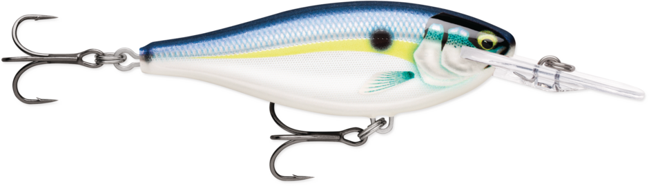 Rapala- Shad Rap Elite 75 Lure