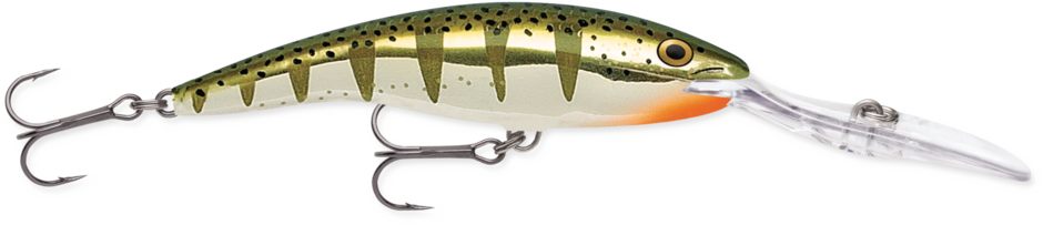 Rapala- Deep Tail Dancer Crankbait