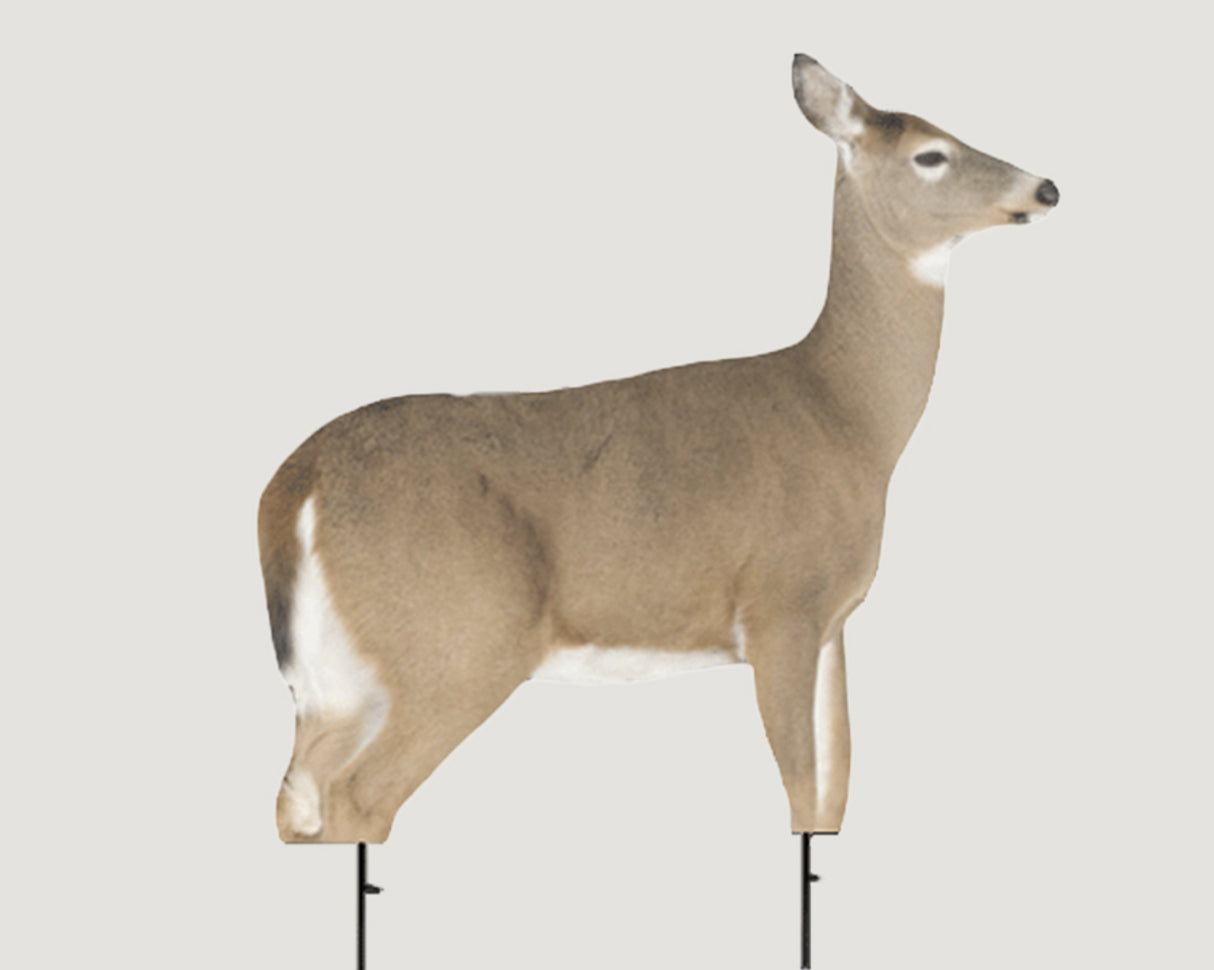 Montana Decoy Co- Dreamy Whitetail Doe Decoy