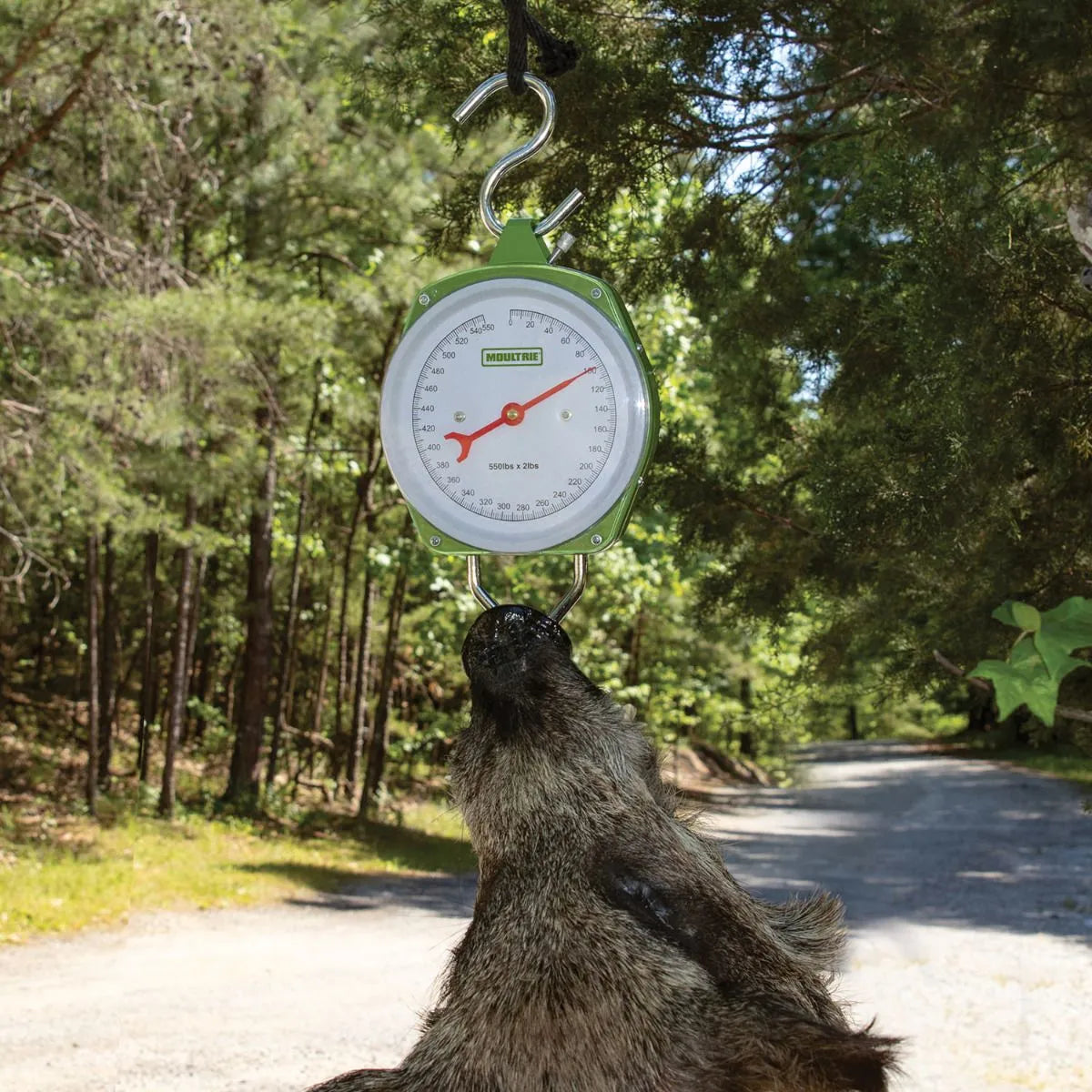 Moultrie- 550-lb Big Game Scale
