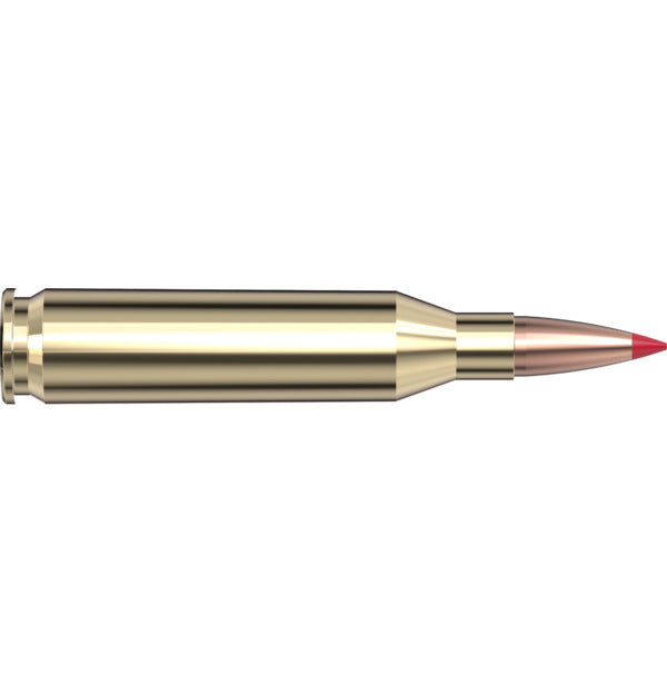 Hornady- ELD-X Precision Hunter Ammunition- 243 WIN, 90 Grain