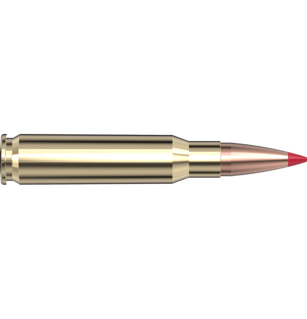 Hornady- ELD-X Precision Hunter Ammunition- 308 WIN, 178 Grain