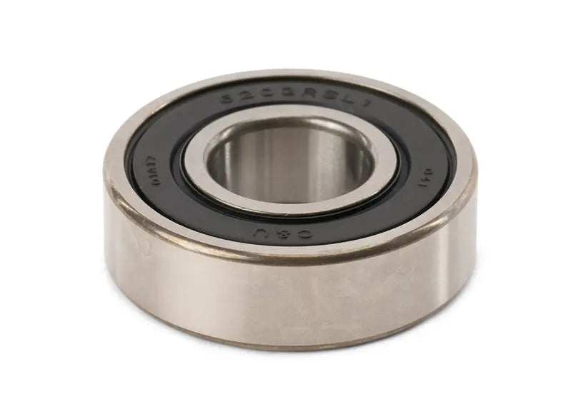 Can-Am- Swing Arm Bearing
