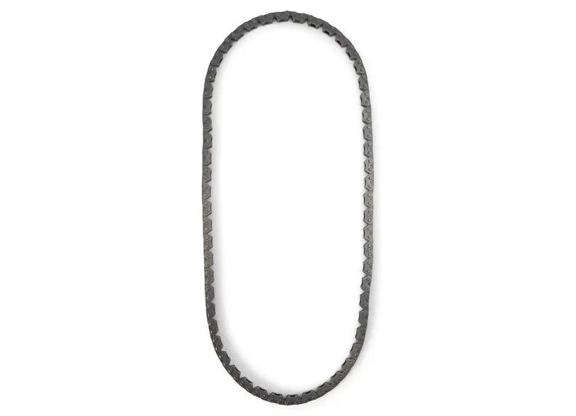 Can-Am- Silent Chain