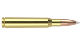 Nosler-  Accubond Trophy Grade Ammunition 30-06 SPRG, 180 Grain