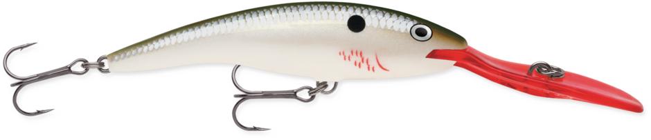 Rapala- Deep Tail Dancer Crankbait