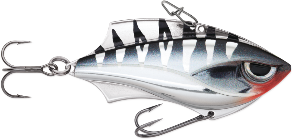Rapala- Rap-V Blade 6 Lipless Crankbait