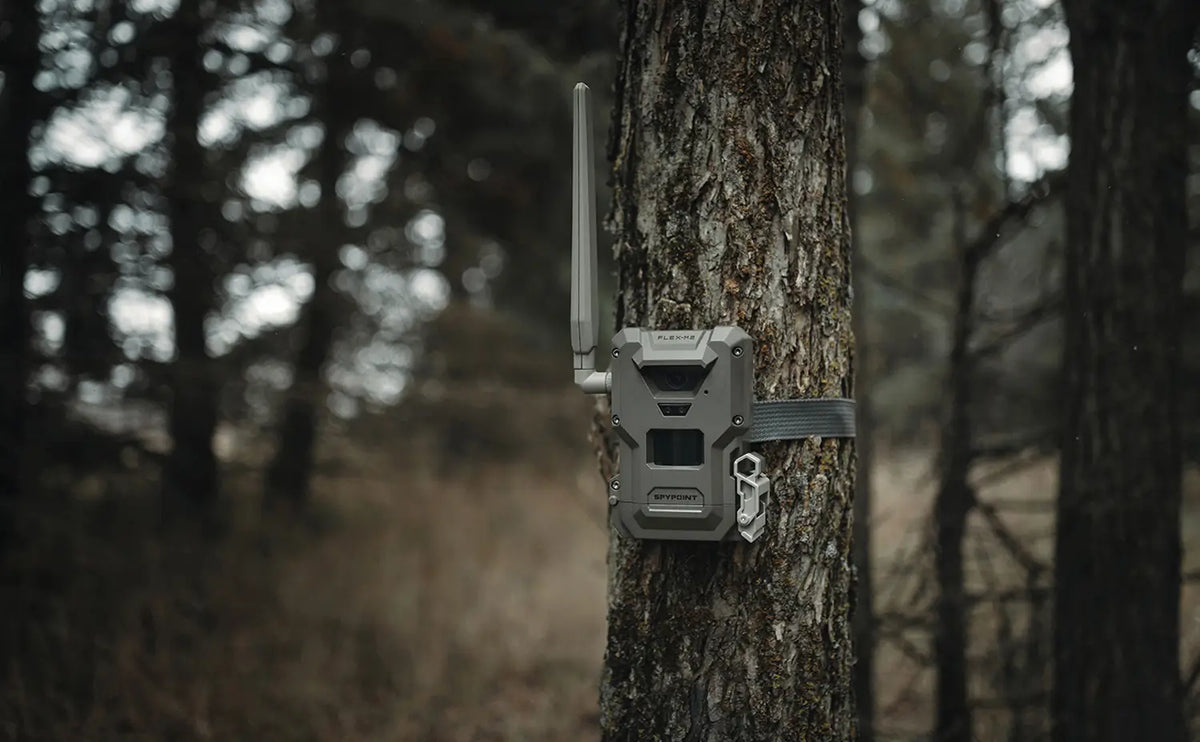 Spypoint- Flex- M2 Cellular Trail Camera