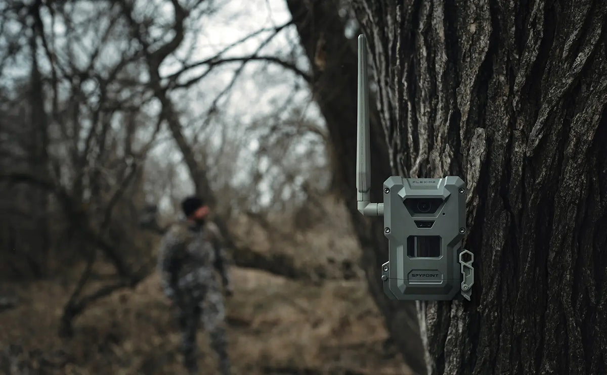Spypoint- Flex- M2 Cellular Trail Camera