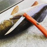 Outdoor Edge- FieldBone Folding Boning Knife