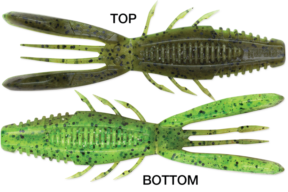 Rapala- CrushCity "Bronco Bug" Bait