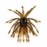 6th Sense- The Abstract Urchin Style Bait