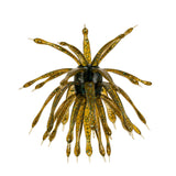 6th Sense- The Abstract Urchin Style Bait
