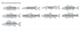 Beckman- Landing 4-7' Extendable Fishing Net