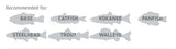 Beckman- Landing 6'-9' Extenable Fishing Net