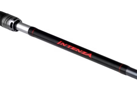 Shimano- Intenza Casting Fishing Rod