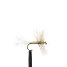 Malades de Pêche- Imago Pale Evening Dun Fishing Fly