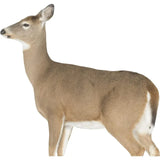 Montana Decoy Co- Dreamy Whitetail Doe Decoy