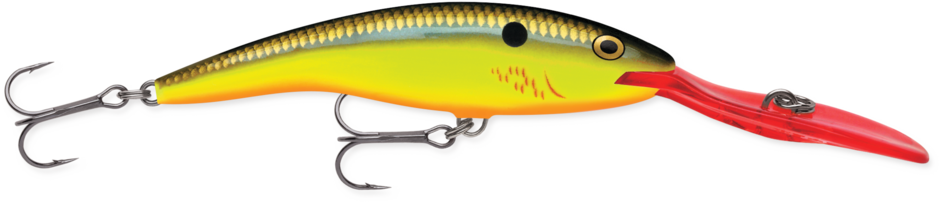 Rapala- Deep Tail Dancer Crankbait