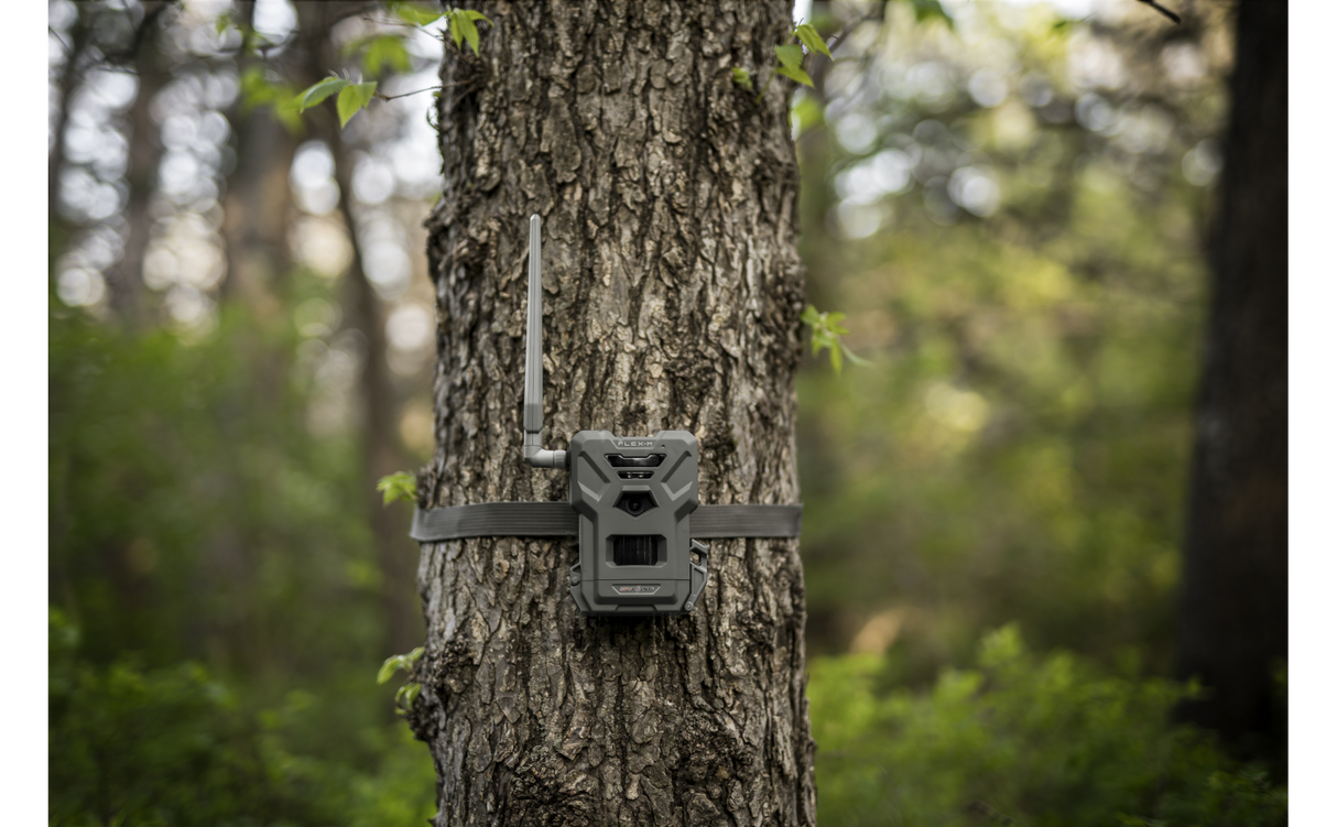 Spypoint- Flex-M Cellular Trail Camera