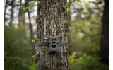 Spypoint- Flex-M Cellular Trail Camera