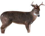 Montana Decoy Co- The Freshman Whitetail Buck Decoy