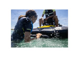 Sea-Doo- RXT, GTX, GTI, GTR, And Wake Boarding Ladder