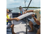 Sea-Doo- Switch Pontoon Adjustable Table