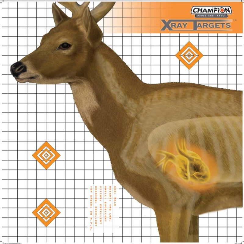 Champion- Deer X-Ray Target - 6pk